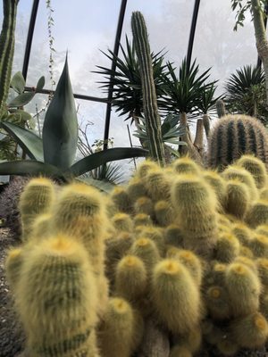 Botanical Garden by null