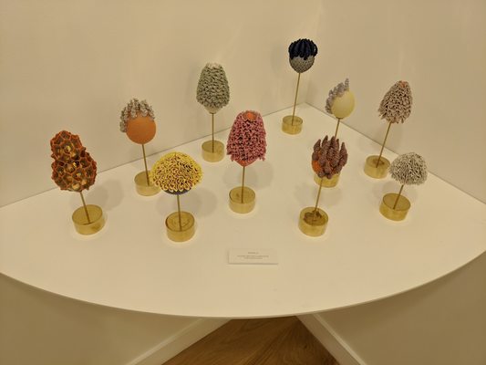 SOCO Gallery by null