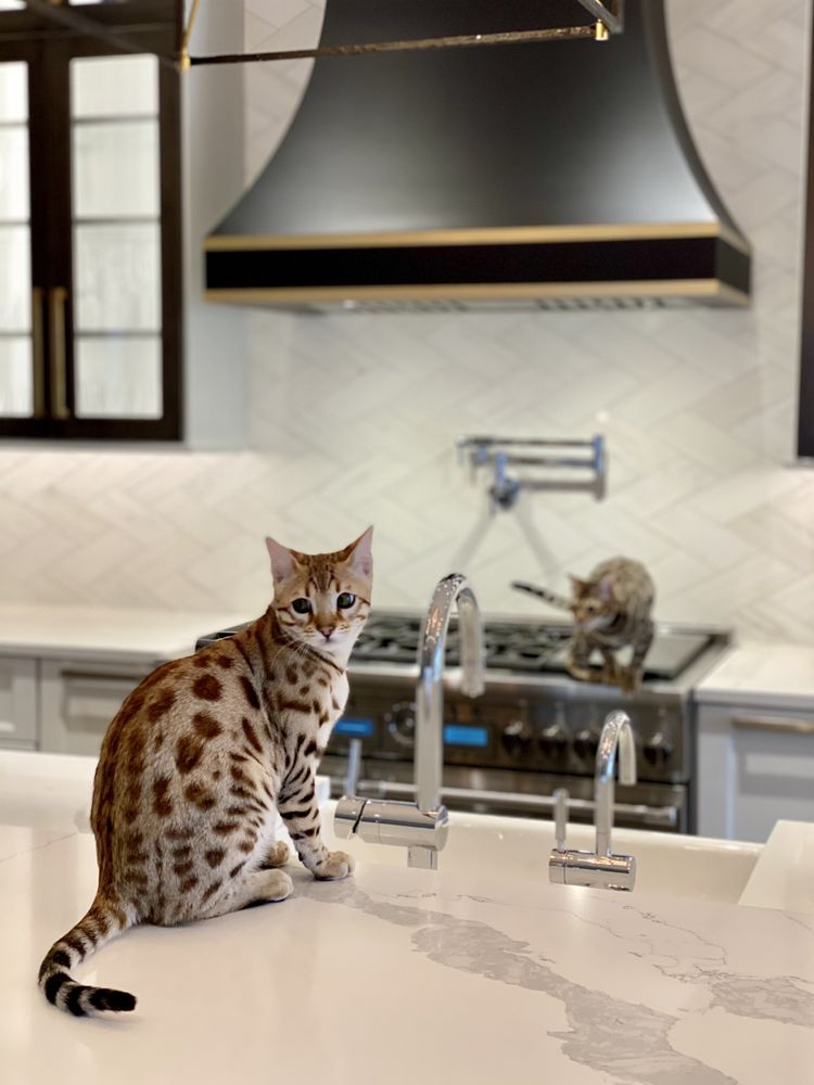 Slide of Technocasa Construction