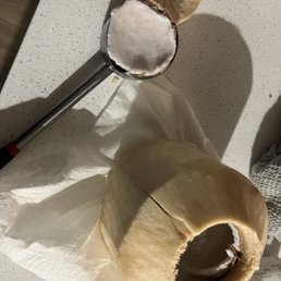 Coconut Coconut