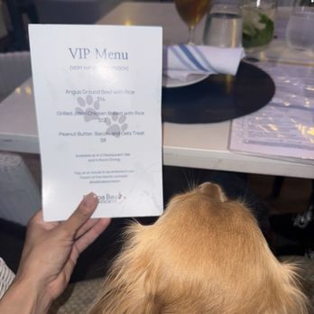 A+O Restaurant | Bar - Dog menu - New American Near Me - Newport Beach, California A+O Restaurant | Bar - Dog menu - New American Near Me - Newport Beach, California