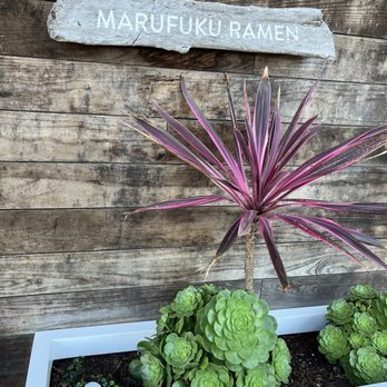 Marufuku Ramen - Outside - Ramen Near Me - San Diego, California Marufuku Ramen - Outside - Ramen Near Me - San Diego, California