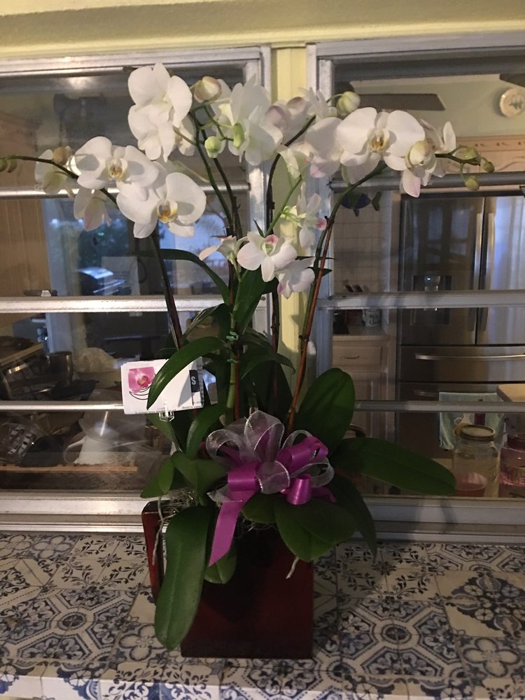 THAI ORCHIDS AND LEIS - 16 Photos & 11 Reviews - Florists - 5313