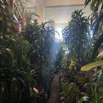 Country Plants - Nurseries & Gardening Near Me - Santa Monica, California Country Plants - Nurseries & Gardening Near Me - Santa Monica, California