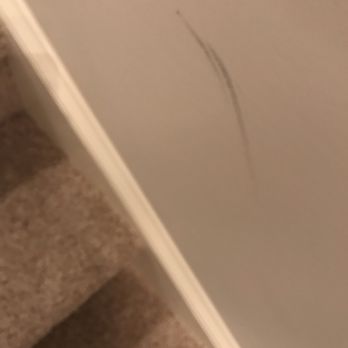 You Move Me Charlotte - Stains on walls - Movers Near Me - Charlotte, North Carolina You Move Me Charlotte - Stains on walls - Movers Near Me - Charlotte, North Carolina