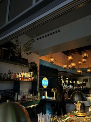Botanical Lounge by null
