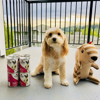 Pet Pros 12 Photos Pet Stores 24024 Bothell Everett Hwy Bothell Wa Phone Number Yelp