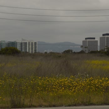 Ballona Wetlands - View from Ballona Wetlands - Hiking Near Me - Playa Del Rey, California Ballona Wetlands - View from Ballona Wetlands - Hiking Near Me - Playa Del Rey, California