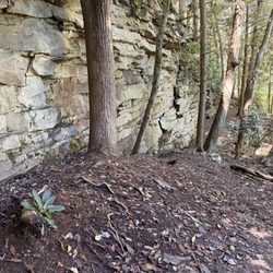 Grandview State Park