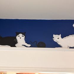 Blue Marble Books - Painted walls with cats