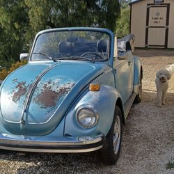 Economy Tow - My baby