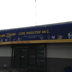 ZamZam Live Poultry