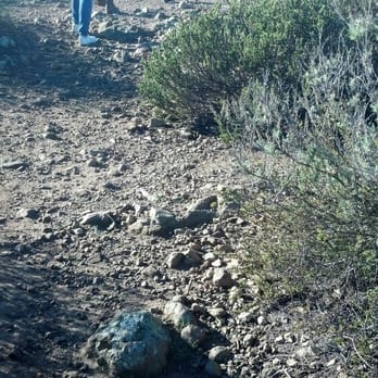 UC Irvine Ecological Preserve - Parks Near Me - Irvine, California