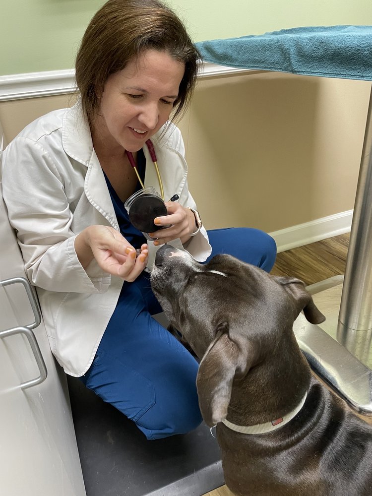 METROWEST VETERINARY CLINIC Updated May 2024 47 Photos & 38 Reviews