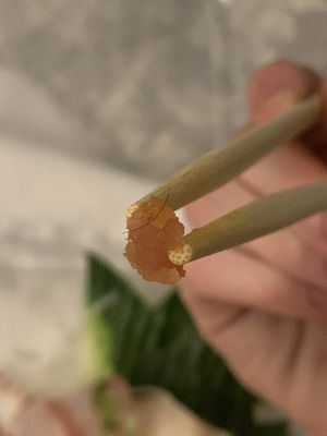 Pure Sushi by null