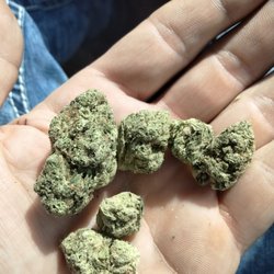 Nature's Medicines