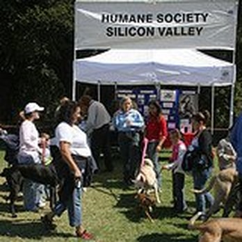 Bark In the Park - Festivals Near Me - San Jose, California Bark In the Park - Festivals Near Me - San Jose, California