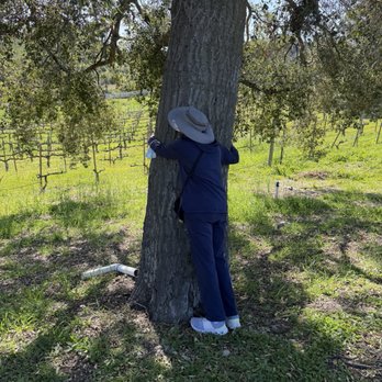 Malibu Wine Hikes - Tree hugging experience. Family outing on a beautiful Saturday morning in California. - Hiking Near Me - Malibu, California Malibu Wine Hikes - Tree hugging experience. Family outing on a beautiful Saturday morning in California. - Hiking Near Me - Malibu, California