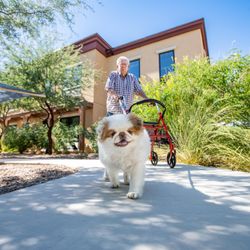 Pet-Friendly Outdoor Spaces