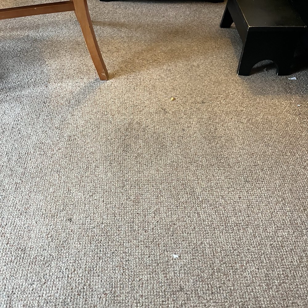 Cannon Beach Hotel Collection - Stains on carpet - Hotels Near Me - Cannon Beach, Oregon Cannon Beach Hotel Collection - Stains on carpet - Hotels Near Me - Cannon Beach, Oregon
