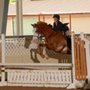 Photo of Three Oaks Equestrian Center