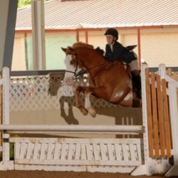 Three Oaks Equestrian Center