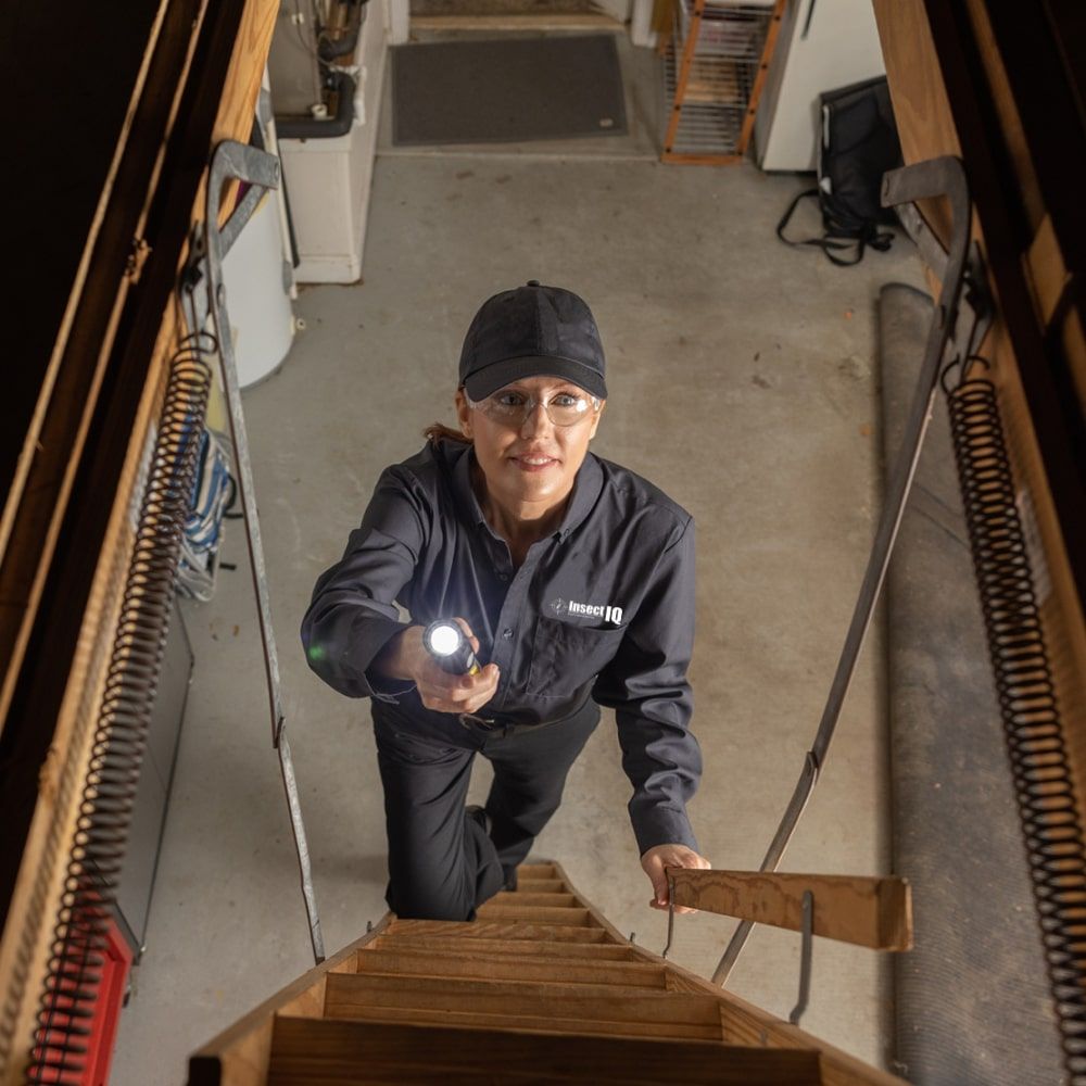 INSECT IQ 41 Photos & 112 Reviews 406 Motor City Ct, Modesto