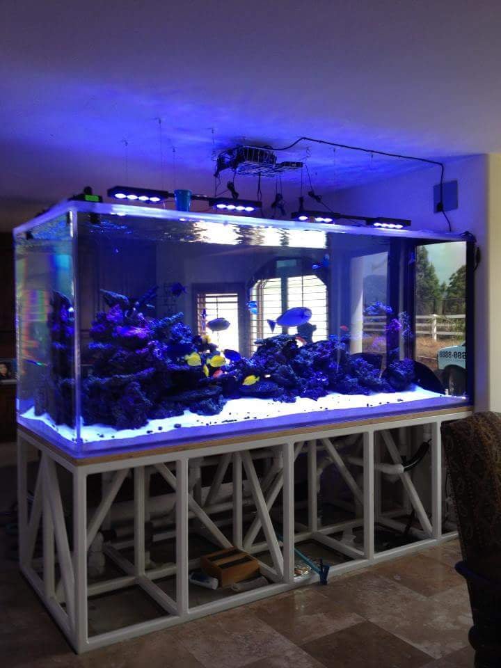 ALL CEEZ AQUARIUM DESIGN Updated September 2024 16 Photos 43391 Business Park Dr, Temecula