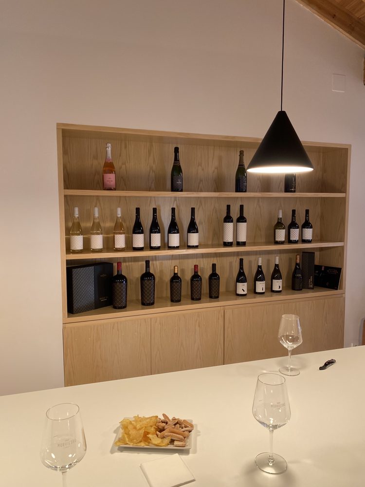 Valencia Wine Consulting & Tours