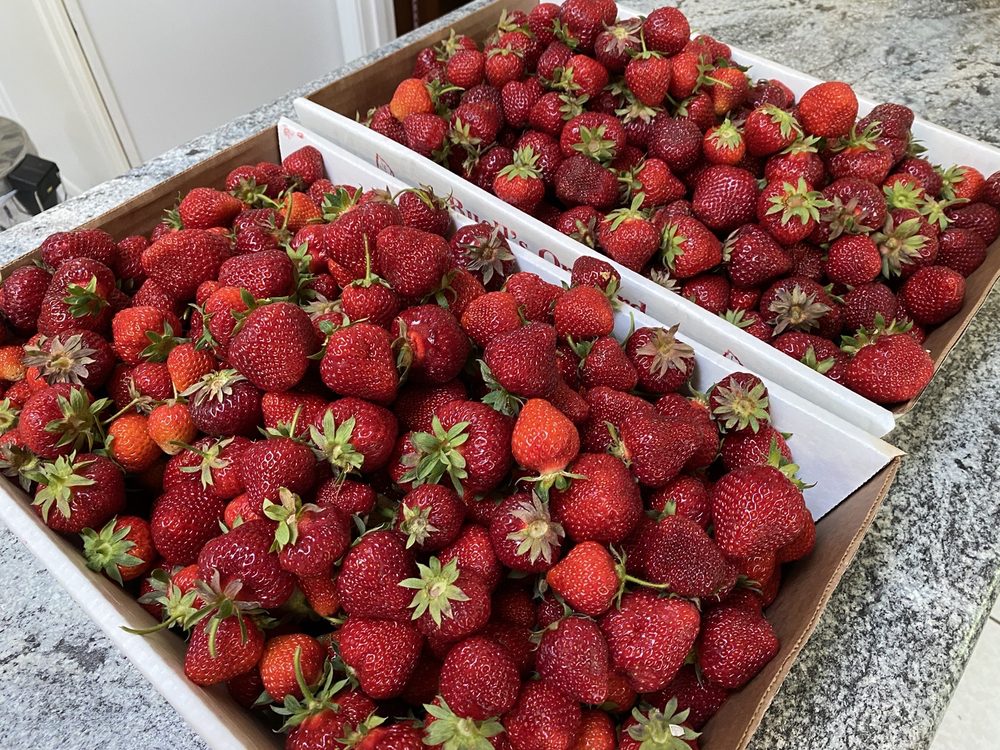 BUELL’S ORCHARD Updated September 2024 27 Photos 108 Crystal Pond