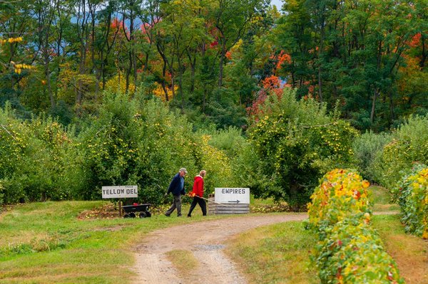 Apple Barrel Orchards by null
