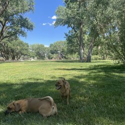 Westland Dog Park