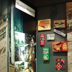 Robertson Museum and Aquarium - Robertson Museum and Aquarium, Millport