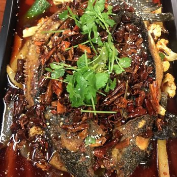 Uniquely Chengdu - The whole fish, potato, cauliflower, jelly noodle - Szechuan Near Me - Eugene, Oregon Uniquely Chengdu - The whole fish, potato, cauliflower, jelly noodle - Szechuan Near Me - Eugene, Oregon