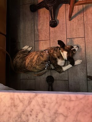 Grace & Leavitt by null