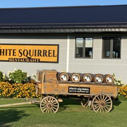 White Squirrel