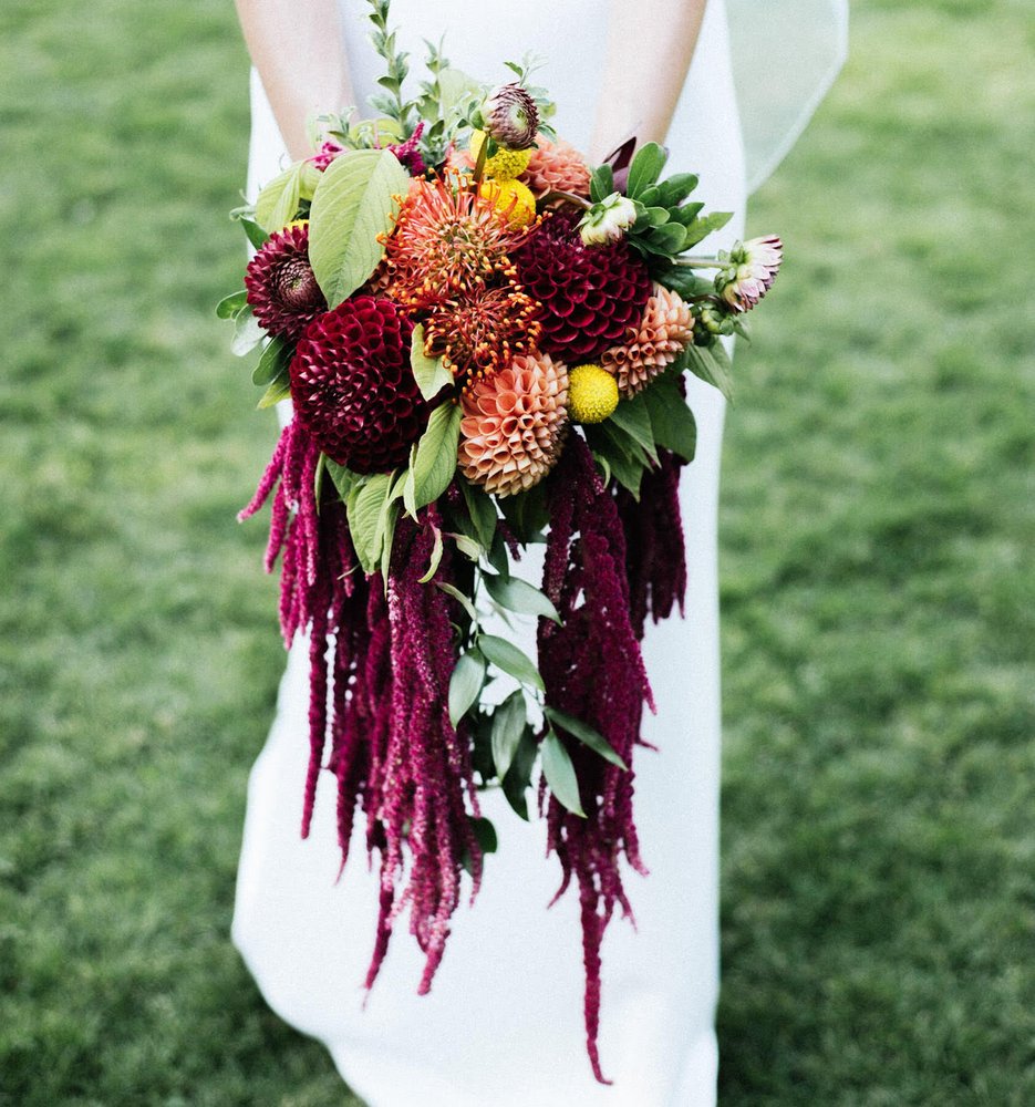 POPPIES FLORAL ART Updated September 2024 73 Photos 108800 Yates