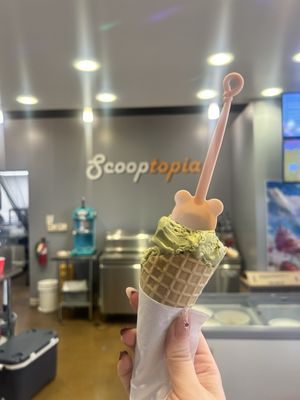 Scooptopia by null