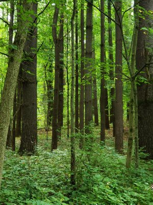 APPLE RIVER CANYON STATE PARK - Updated August 2024 - 19 Photos - 8763