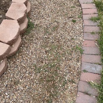 Empire Yard Maintenance - Grass and weeds one year later coming through "fabric". - A garden pathway composed of small gravel stones with some grass growing through. It is bordered on one side by a curved row of rectangular bricks and on the other side by larger, irregularly shaped stones. The pathway appears to be part of a landscaped yard or garden area. - Landscaping Near Me