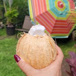 Waikane Fruit Stand