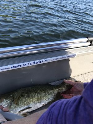 norm's bait & tackle