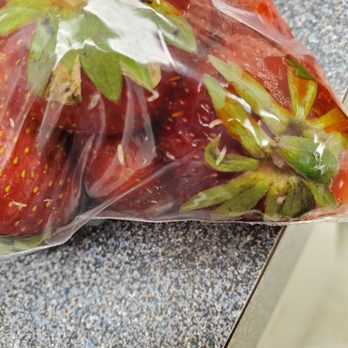 Brookdale Farm - Small worms from my berries..what a waste - Farmers Market Near Me - Chesapeake, Virginia