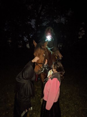 Coggeshall Farm Museum by null