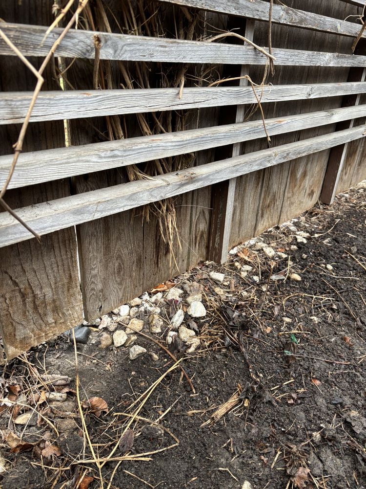 M & R Landscaping - tree service in Chicago, IL