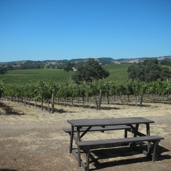 Doce Robles Winery & Vineyard - Behind the tasting room - Wineries Near Me - Paso Robles, California Doce Robles Winery & Vineyard - Behind the tasting room - Wineries Near Me - Paso Robles, California