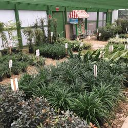 Some more plants but also if you look close a station to get seeds. Useful in spring.