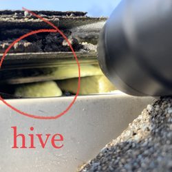 Unified Pest Services
