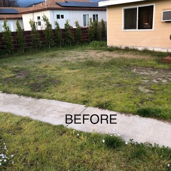 AL Lopez Landscaping - Landscaping Near Me