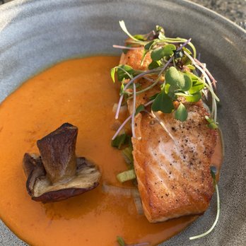 The Rooftop - Salmon - Asian Fusion Near Me - Beverly Hills, California The Rooftop - Salmon - Asian Fusion Near Me - Beverly Hills, California